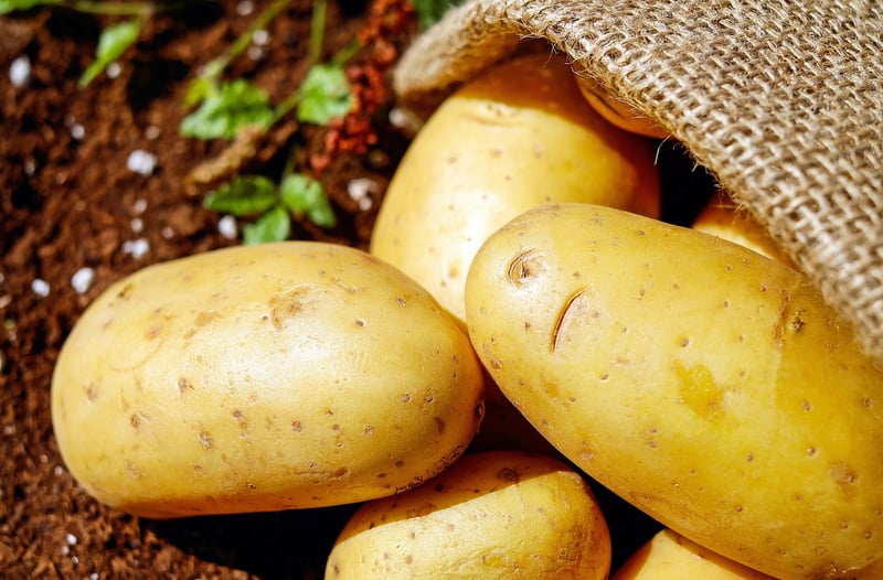 Vegetables - Sustainable Eating